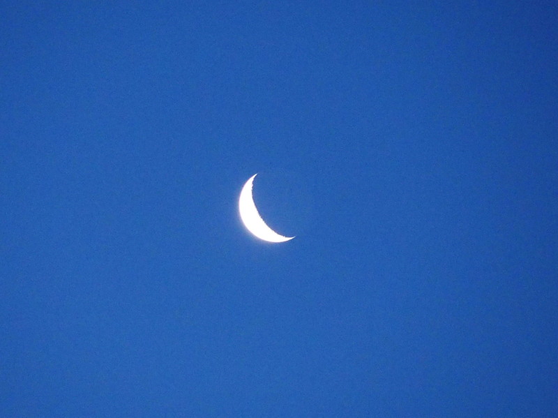 c0122670_172769.jpg