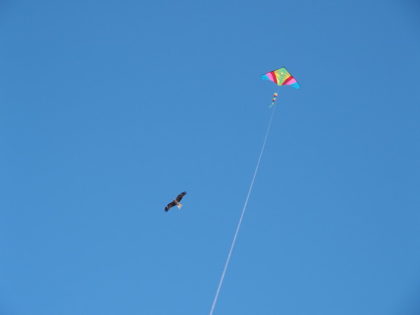 c0122670_2153785.jpg
