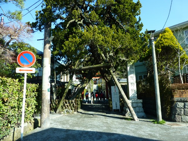 a0157174_2131826.jpg
