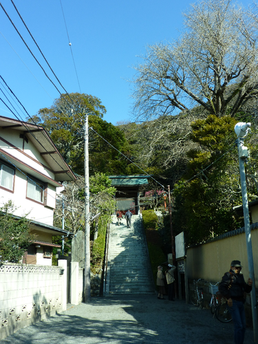 a0157174_21363045.png