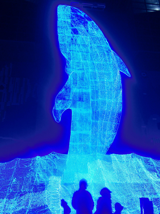 f0238779_214526.jpg