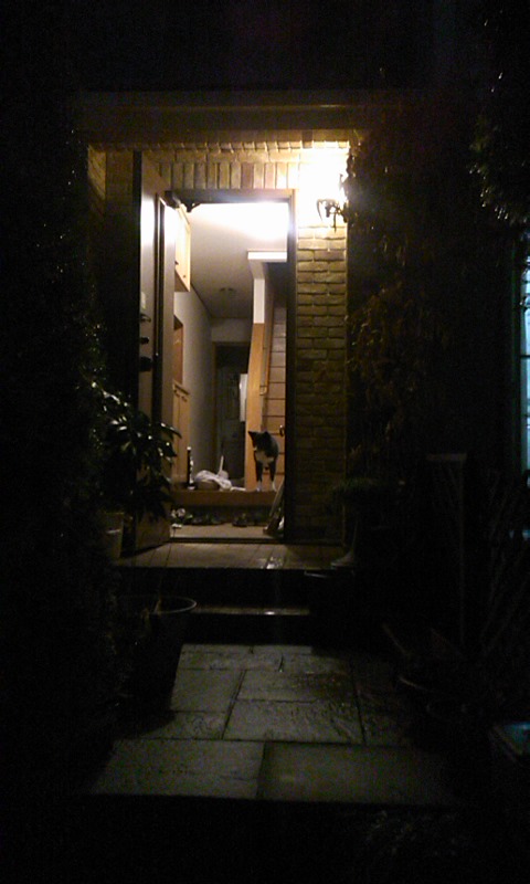 b0122485_11154910.jpg