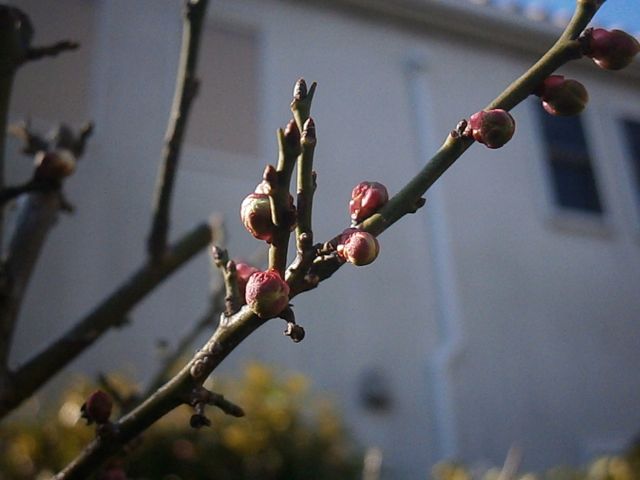 f0130894_22113174.jpg