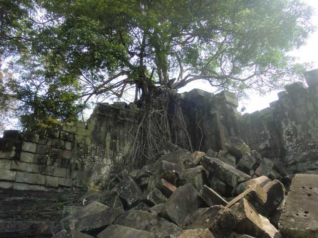b0044296_1724044.jpg