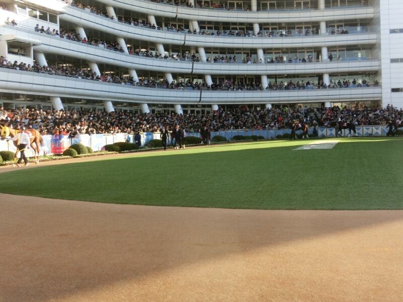 c0110906_1250870.jpg