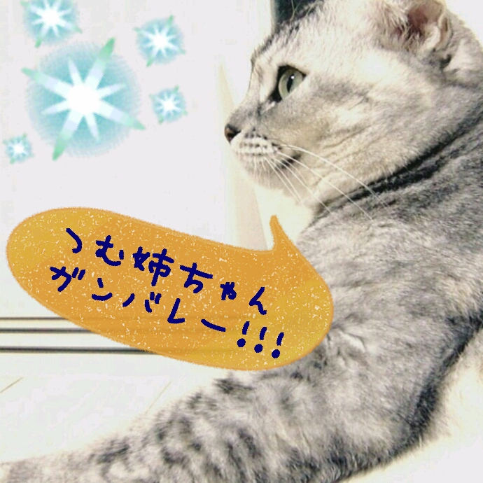 c0237608_2165575.jpg