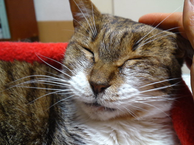 a0206019_23403045.jpg