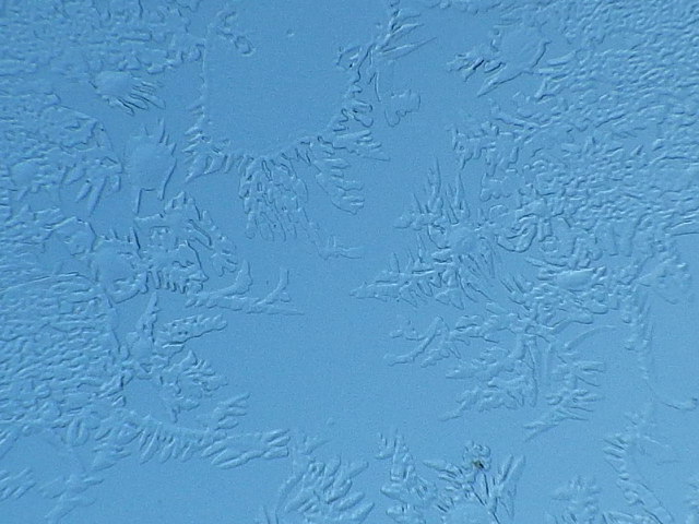 f0118332_21282226.jpg