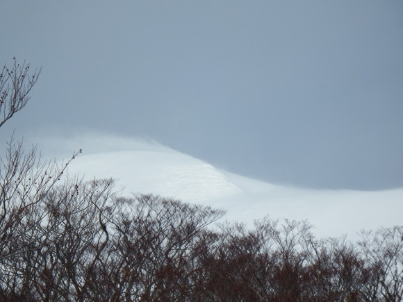 f0118332_2136420.jpg