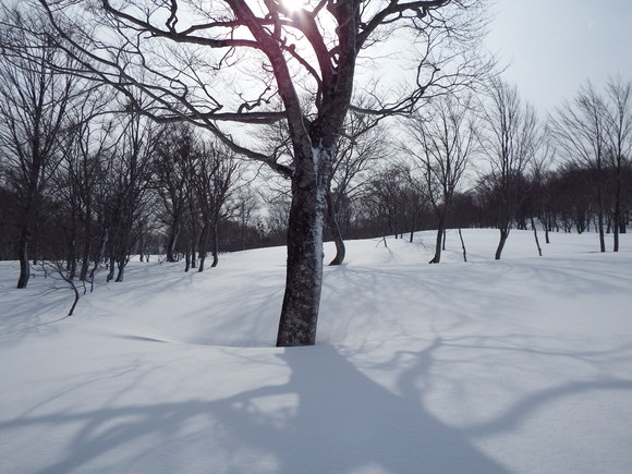 f0118332_215039.jpg