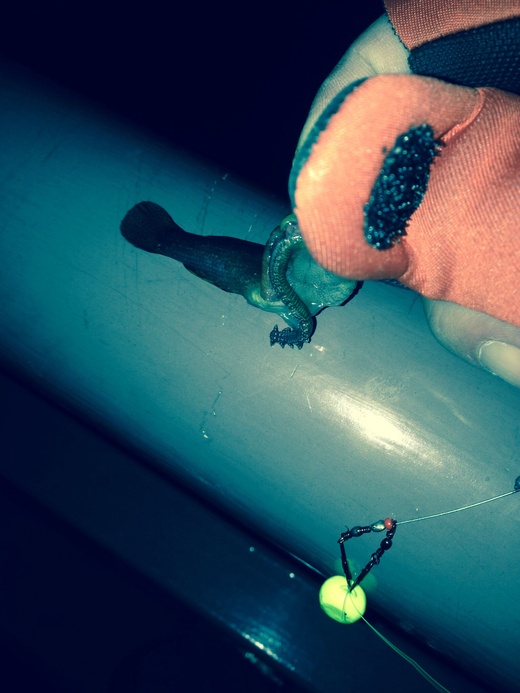 c0234439_3421430.jpg