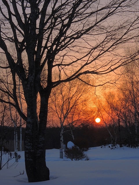 b0122448_2157291.jpg