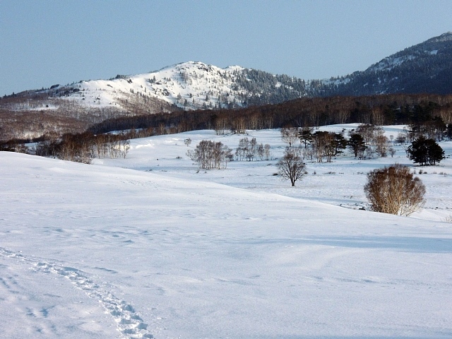 b0122448_21594020.jpg