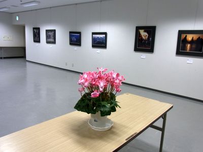 f0106664_7112690.jpg