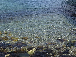 e0160568_17013881.jpg