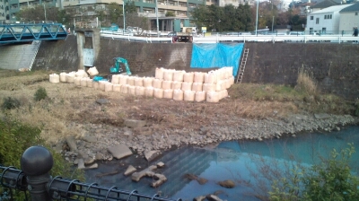 e0122770_1671327.jpg
