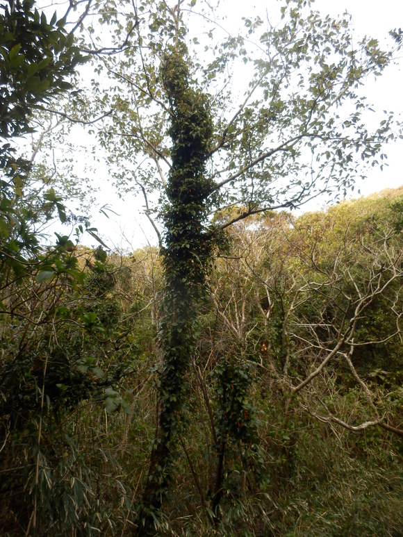 e0292172_20325646.jpg