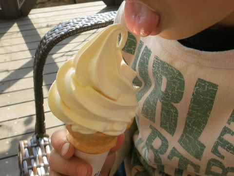 f0047773_2053472.jpg