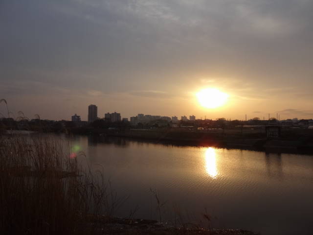 a0113874_20425132.jpg