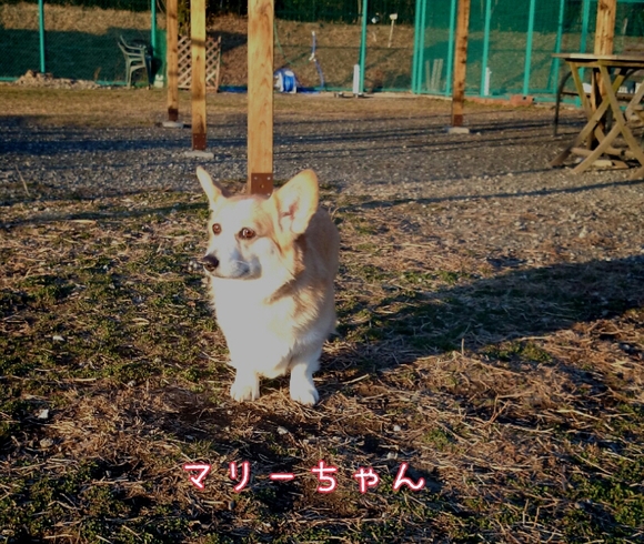 f0230380_23114160.jpg