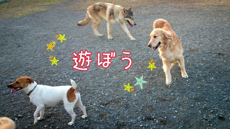 f0230380_23173999.jpg