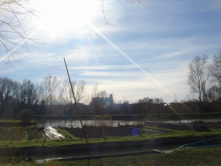 a0247585_653502.jpg