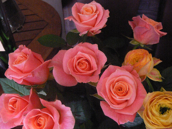 e0140986_14511721.jpg
