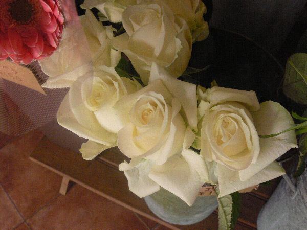 e0140986_1453040.jpg