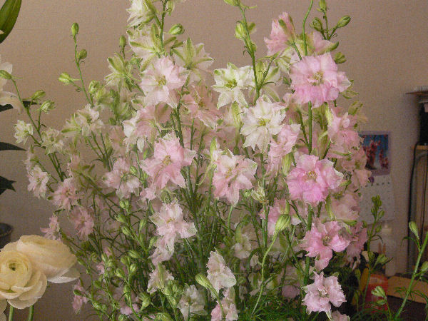 e0140986_14545311.jpg