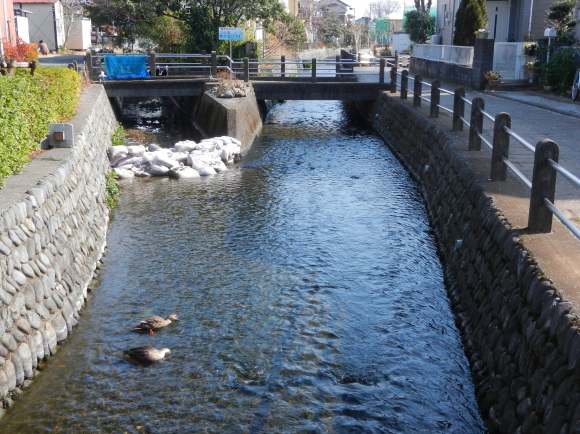 d0224990_20495680.jpg