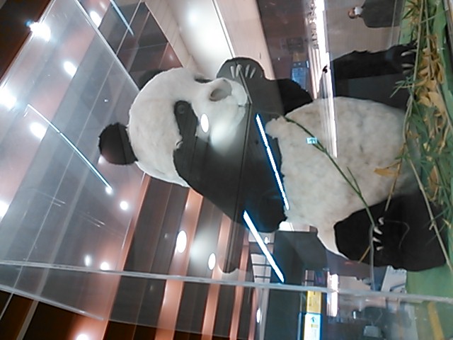 f0081293_243842.jpg