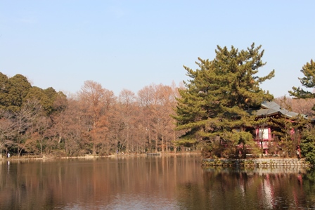 c0128303_22173015.jpg