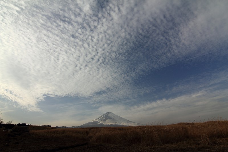 a0188405_8181230.jpg