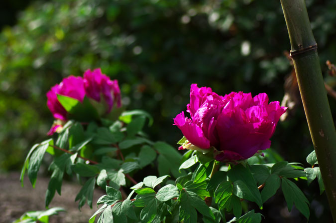 a0263109_9502369.jpg