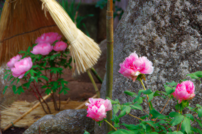 a0263109_953113.jpg