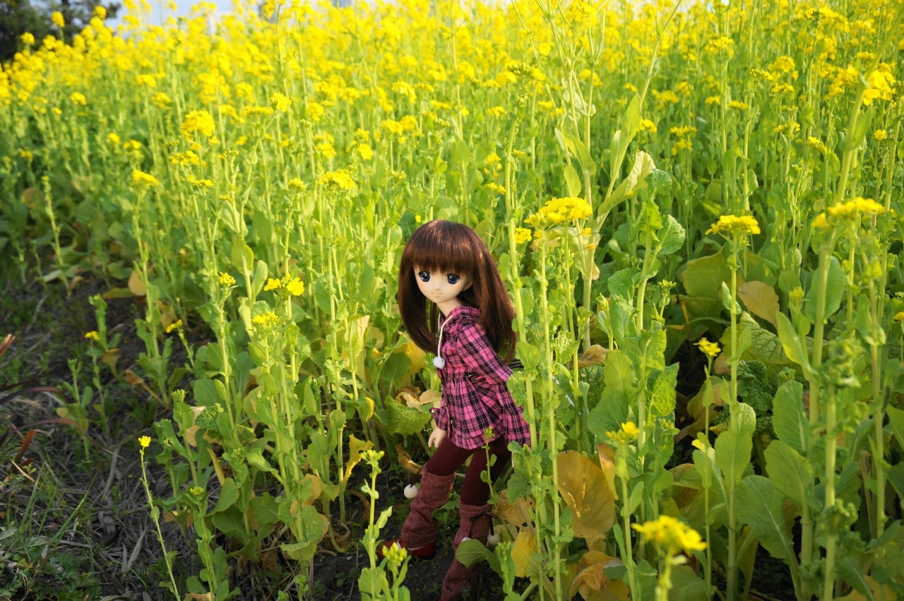 f0217711_00565000.jpg
