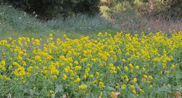 c0223117_14494656.jpg