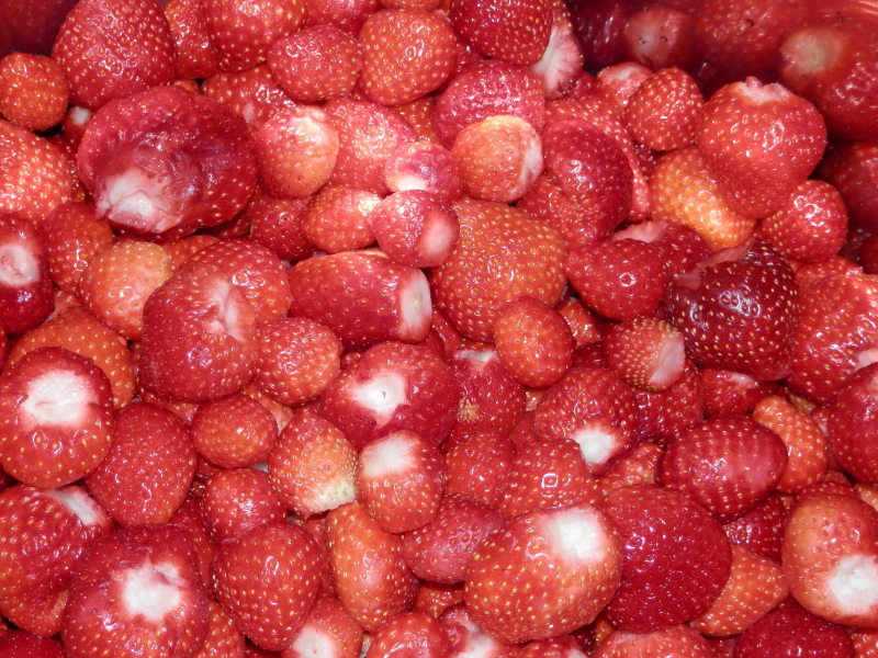 a0125419_07021112.jpg