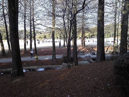 d0286819_21422556.jpg