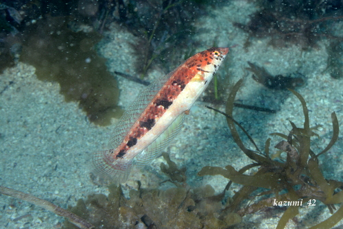 b0164920_23112044.jpg