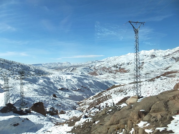 c0051938_11373392.jpg