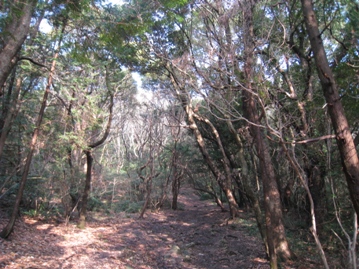 c0077338_21423237.jpg