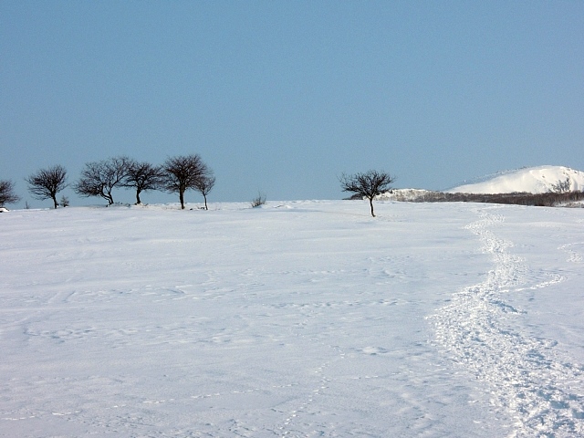 b0122448_17202297.jpg