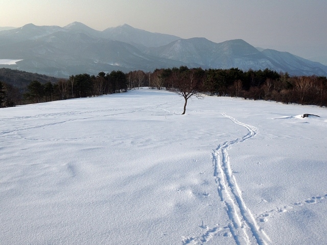 b0122448_17204270.jpg