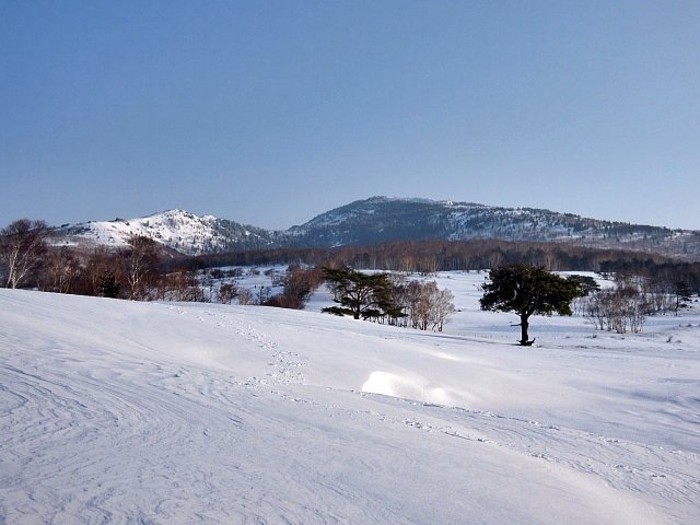 b0122448_17211780.jpg