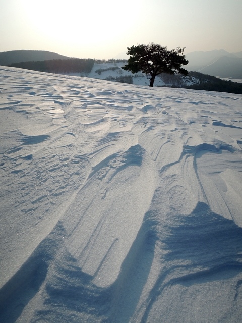b0122448_17222566.jpg