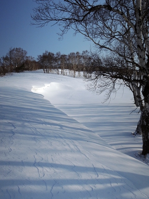 b0122448_17233033.jpg