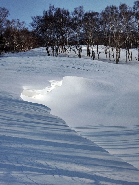 b0122448_1723376.jpg