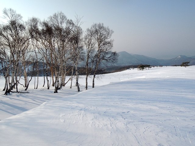 b0122448_17234439.jpg