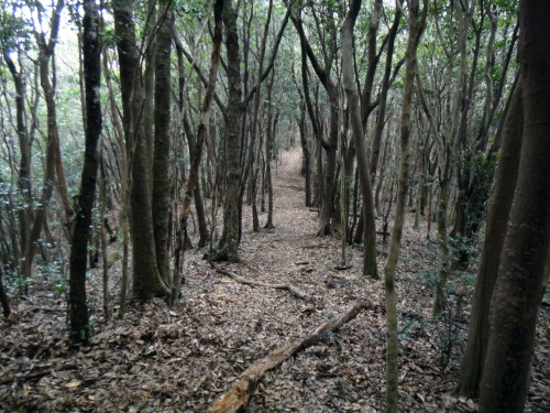 c0179351_10245197.jpg